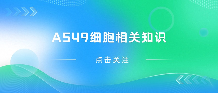 關(guān)于A549細胞，您不得不知道的一些操作